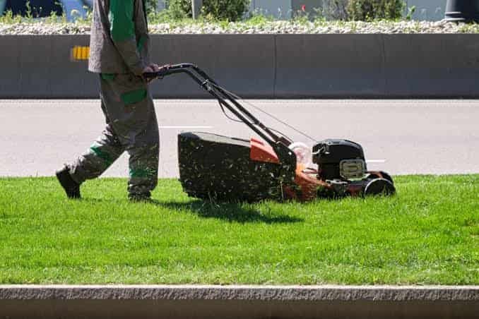 Is It Illegal to Blow Grass in the Road in the United States