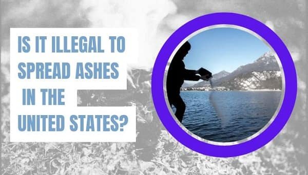 Spread Ashes